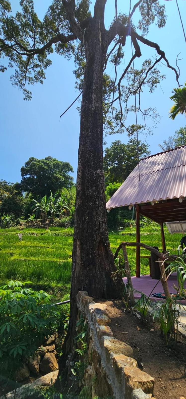 Kingdom Of Rustic Ella Vila Exterior foto